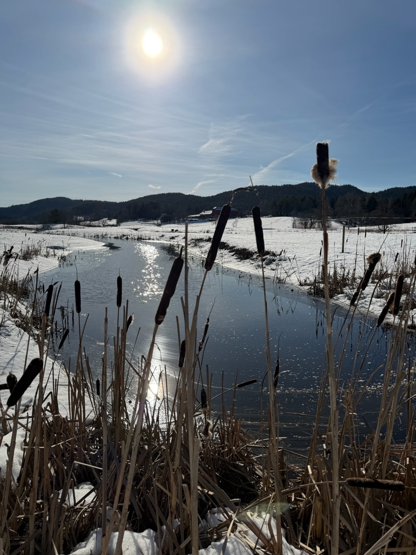 Vandregruppa på fine turer i nærmiljøet